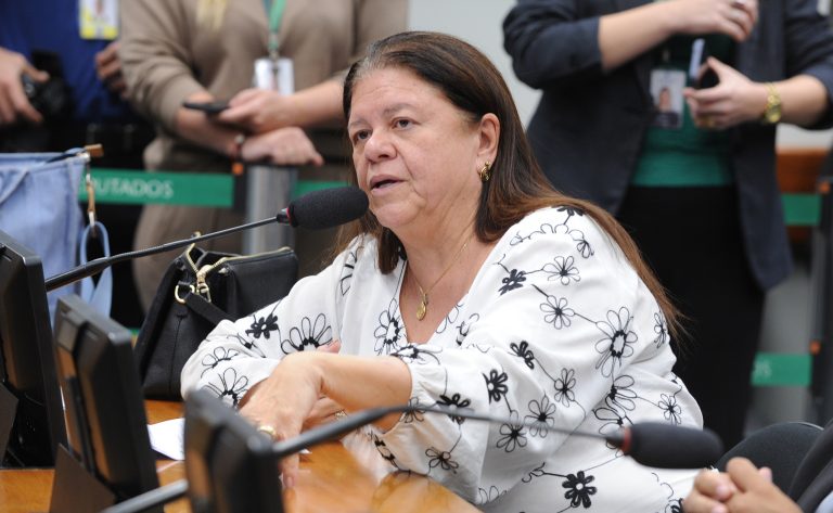 Deputada Laura Carneiro (PSD-RJ) fala em comissão da Câmara dos Deputados