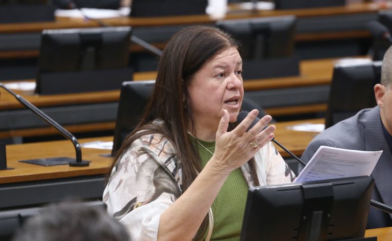 Discussão e votação de propostas legislativas. Dep. Laura Carneiro (PSD - RJ)