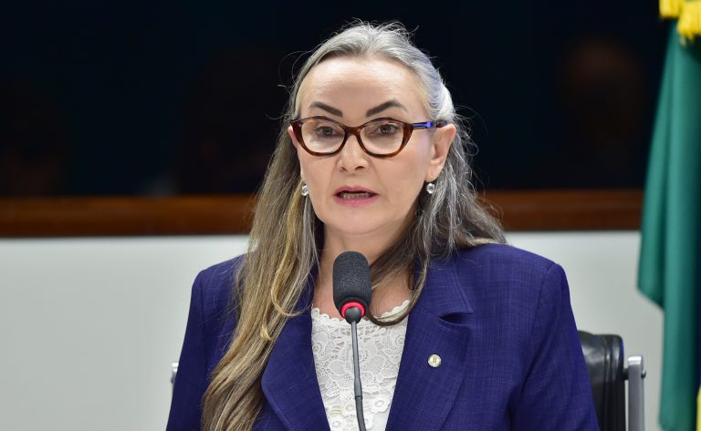 Audiência Pública - Linha Férrea Tronco Sul Lages/SC. Dep. Daniela Reinehr (PL - SC)