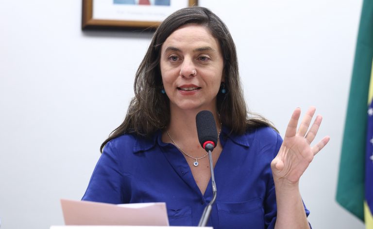 Audiência Pública - Política Nacional de Leitura e Escrita (PNLE). Dep. Fernanda Melchionna (PSOL - RS)