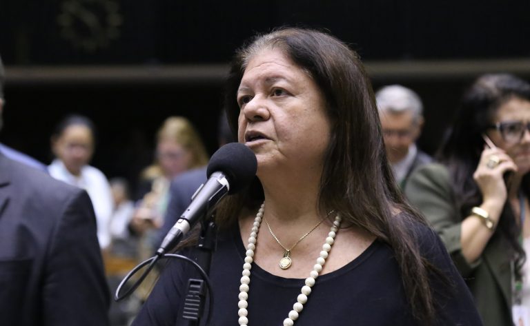 Deputada Laura Carneiro (PSD-RJ) fala no Plenário da Câmara dos Deputados