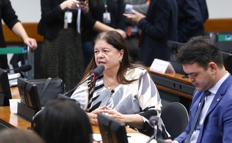 Discussão e votação de propostas legislativas. Dep. Laura Carneiro (PSD-RJ)