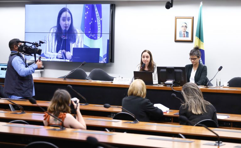 Seminário: Experiências exitosas internacionais e lições para o currículo escolar brasileiro. Dep. Adriana Ventura (NOVO-SP)