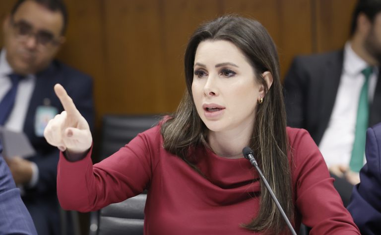 Reunião de Líderes. Dep. Caroline de Toni (PL - SC)