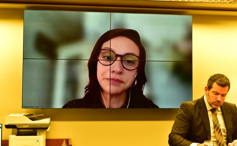Audiência Pública - Debater o Projeto de Lei 4.939/2020. Coordenadora de Políticas Públicas - Derechos Digitales, Marina Meira.