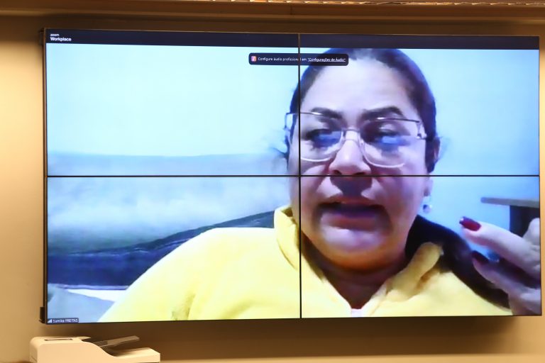 Audiência Pública - Implicações do Sistema Nacional de Educação no processo decisório federativo e no financiamento da educação. Coordenadora Geral da - Campanha Nacional pelo Direito à Educação, Sumika de Freitas