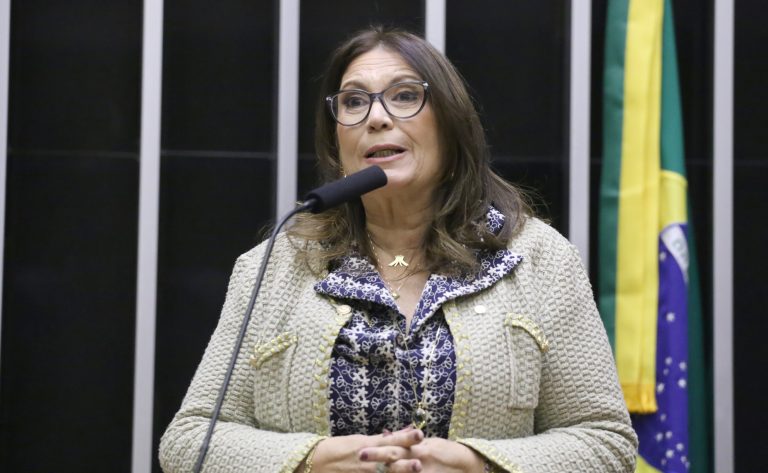 Discussão e Votação de Propostas Legislativas. Dep. Bia Kicis (PL - DF)