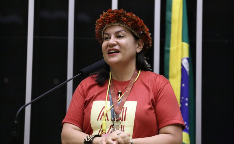 Homenagem da IV Marcha das Mulheres Indígenas. Diretora-Executiva da ANMIGA, Jozileia Kaingang