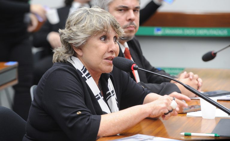 Audiência Pública - Violência no campo. Dep. Erika Kokay (PT - DF)