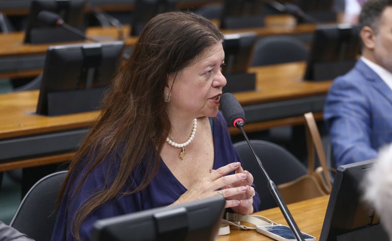 Discussão e votação de propostas legislativas. Dep. Laura Carneiro (PSD - RJ)