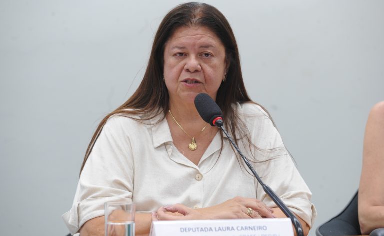 Seminário - Debater a parentalidade e celebrar o Dia Internacional da Família (15 de maio de 2025). Dep. Laura Carneiro (PSD-RJ)