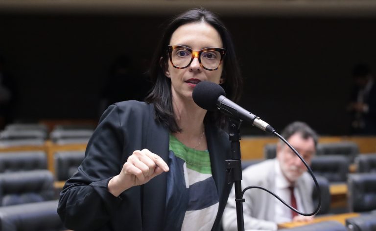 Discussão e Votação de Propostas Legislativas. Dep. Ana Pimentel (PT-MG)