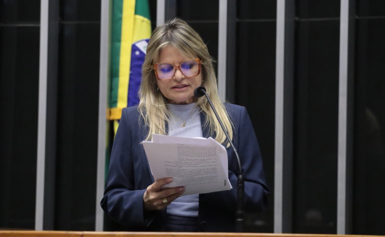 Discussão e Votação de Propostas Legislativas. Dep. Flávia Morais (PDT - GO)