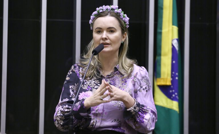 Discussão e Votação de Propostas Legislativas. Dep. Julia Zanatta (PL - SC)