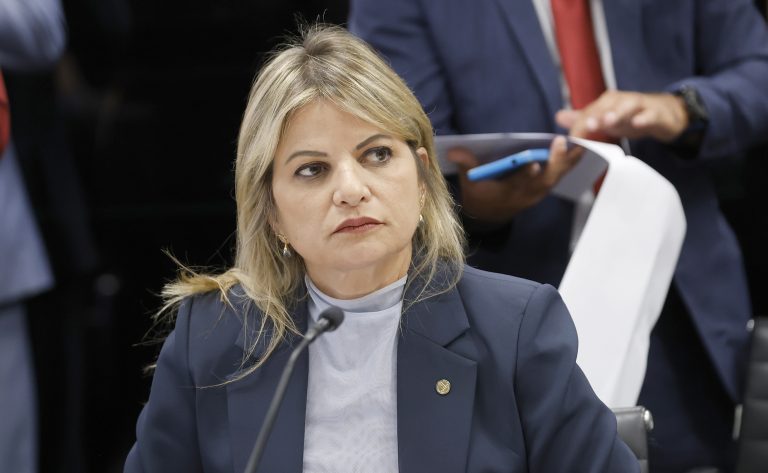 Deputada Flávia Morais (PDT-GO) em reunião da Câmara dos Deputados