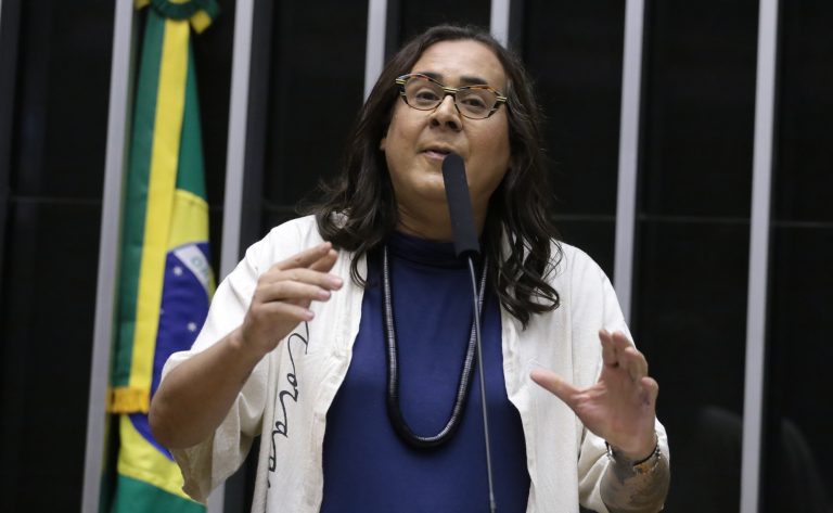 Discussão e votação de propostas legislativas. Dep. Duda Salabert (PDT - MG)