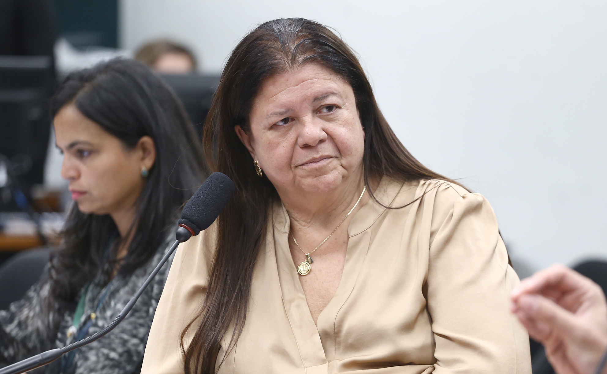 Audiência Pública – Revogação da lei de alienação parental (PL 2812/22). Dep. Laura Carneiro (PSD - RJ) Comissão de Constituição e Justiça e de Cidadania - Tarde