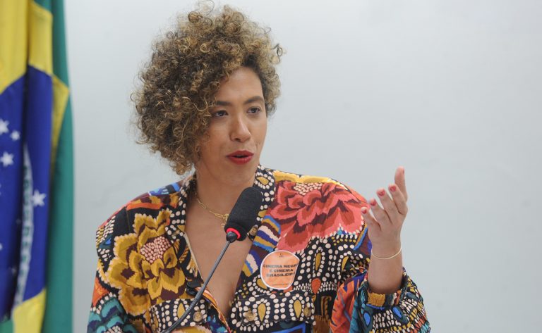 Deputada Talíria Petrone fala em reunião de comissão