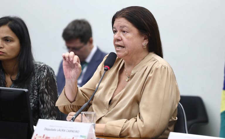 Deputada Laura Carneiro (PSD-RJ) fala em comissão da Câmara dos Deputados