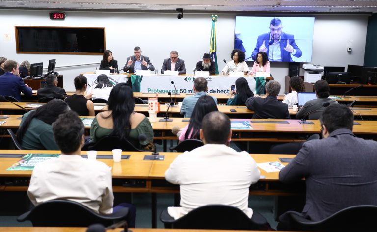 Audiência Pública - Destinação das Florestas Públicas Não Destinadas no Brasil.