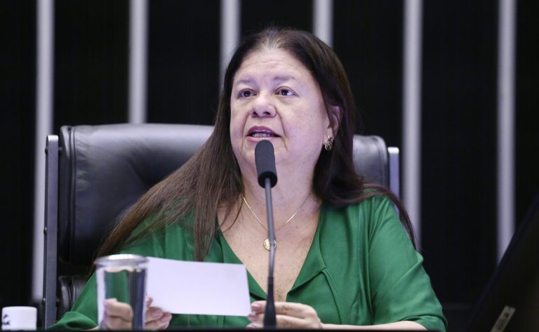 Deputada Laura Carneiro fala ao microfone. Ela é branca, tem o cabelo comprido e escuro, veste uma blusa verde