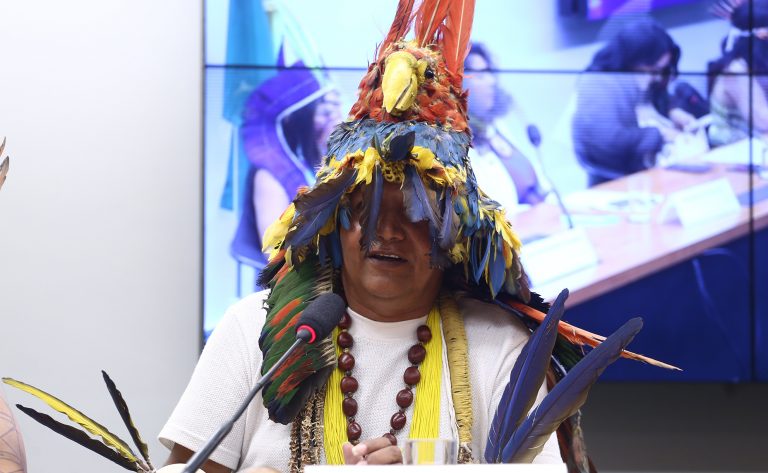 Audiência Pública valorização dos Pajés e seu papel frente à manutenção da cultura. Pajé do Povo Pankararu, Washington Jaguriça