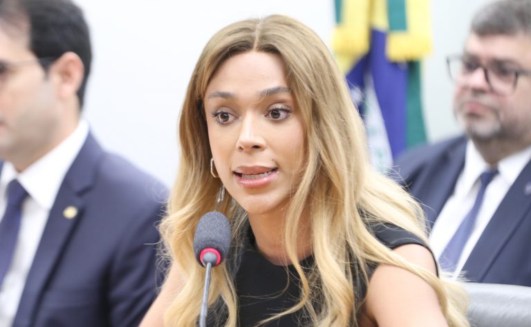 Deputada Erika Hilton (Psol-SP) fala na Comissão de Trabalho da Câmara dos Deputados
