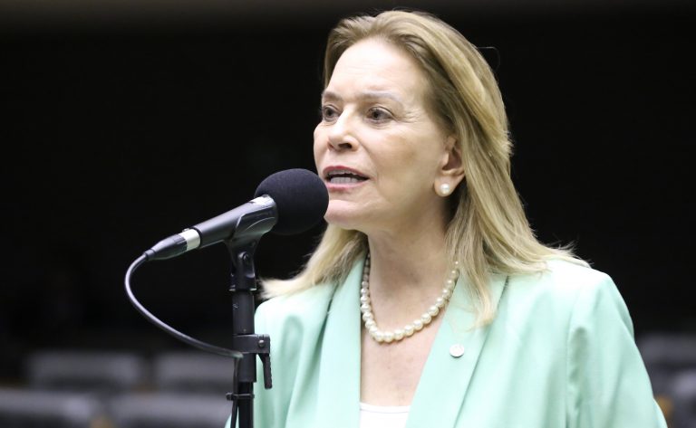 Discussão e Votação de Propostas Legislativas. Dep. Lêda Borges (PSDB - GO)