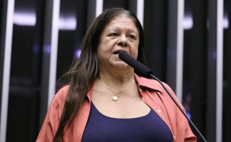 Discussão e votação de propostas legislativas. Dep. Laura Carneiro (PSD-RJ)