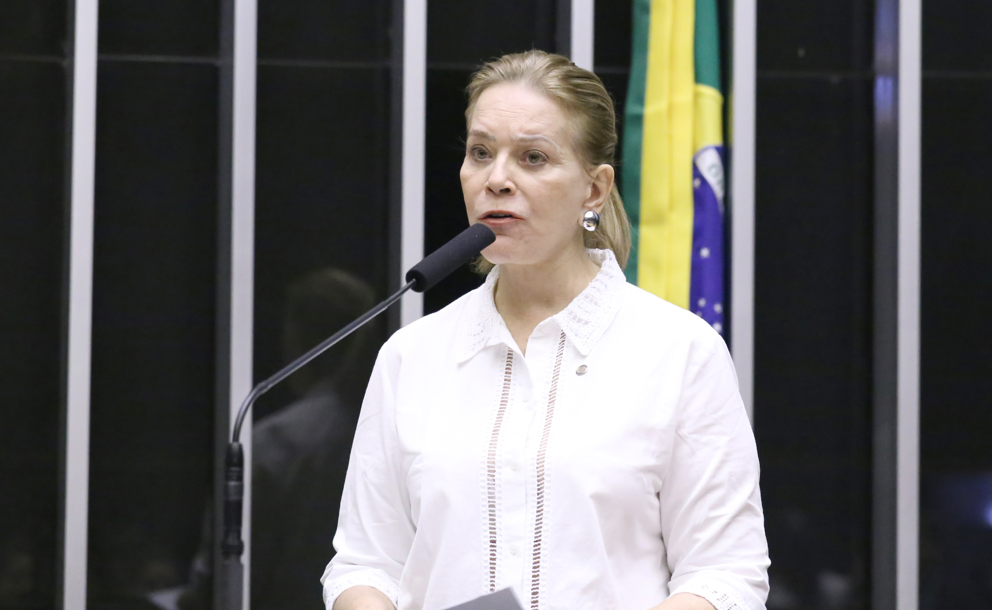 Discussão e votação de propostas legislativas. Dep. Lêda Borges (PSDB - GO) Deputada Lêda Borges fala ao microfone