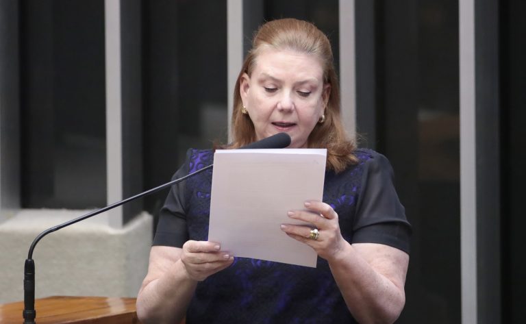Deputada Fernanda Pessoa (União-CE) fala no Plenário da Câmara dos Deputados