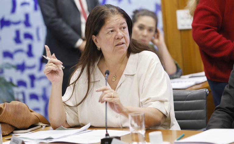 Reunião de Líderes. Dep. Laura Carneiro (PSD - RJ)
