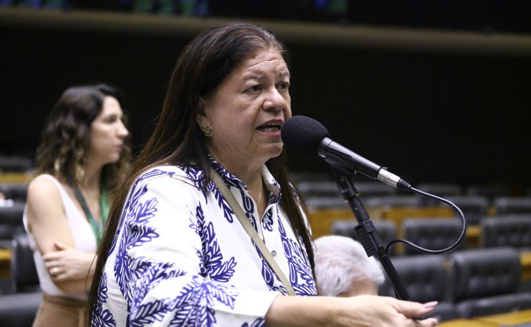Discussão e votação de propostas legislativas. Dep. Laura Carneiro (PSD-RJ).