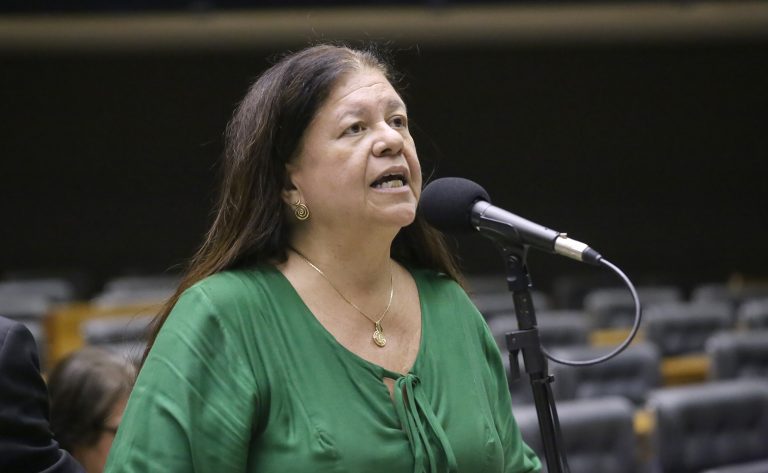 Discussão e votação de propostas legislativas. Dep. Laura Carneiro (PSD - RJ)