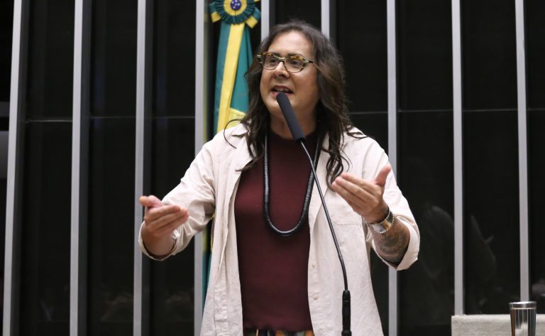 Discussão e votação de propostas legislativas. Dep. Duda Salabert (PDT - MG)