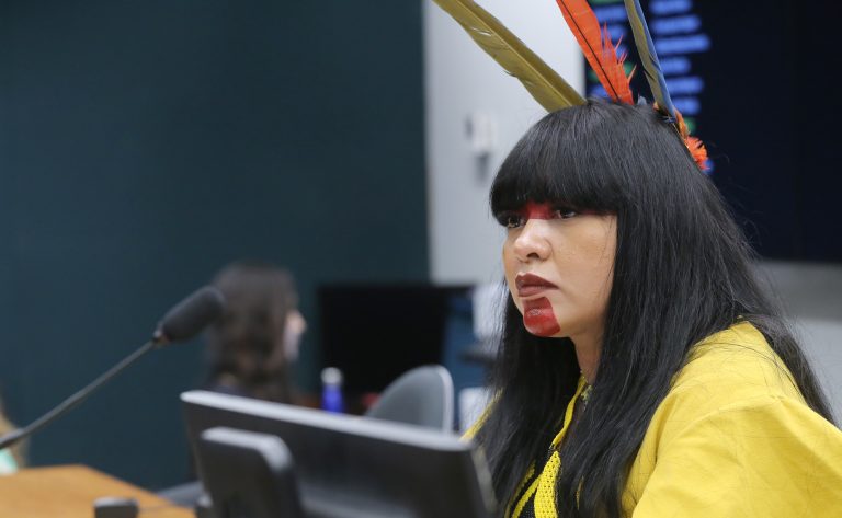 Reunião de Instalação e Eleição de Presidente e Vice-Presidentes. Dep. Célia Xakriabá (PSOL - MG)