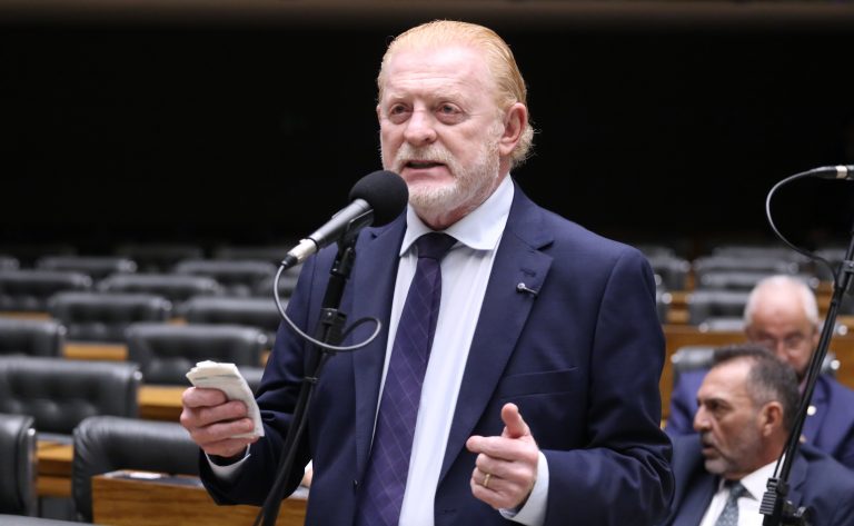 Discussão e votação de propostas legislativas. Dep. Vermelho (PP - PR)