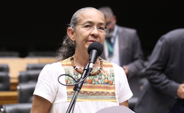 Discussão e votação de propostas legislativas. Dep. Heloisa Helena (REDE - RJ)