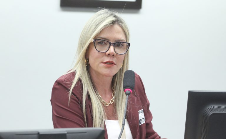 Audiência Pública - Desafios e efetividade do Programa Passe Livre para PcD. Coordenadora de Passe Livre - Agência Nacional de Transportes Terrestres - ANTT, Rossiele e Silva Ferraz Formiga.