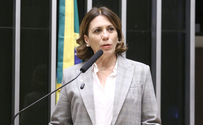 Deputada Rosana Valle (PL-SP) fala no Plenário da Câmara dos Deputados