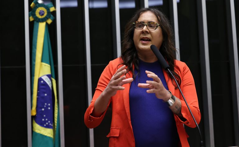 Discussão e votação de propostas legislativas. Dep. Duda Salabert (PSOL - MG)