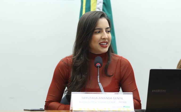 Audiência Pública - 10 anos do Marco Legal da Primeira Infância. Dep. Amanda Gentil (PP-MA)