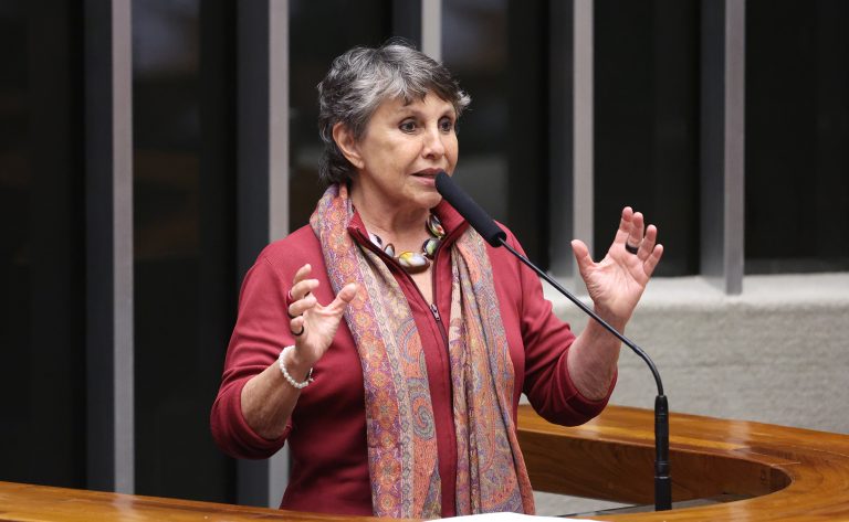 Homenagem aos 30 anos do Movimento dos Pequenos Agricultores – MPA e em memória do Frei Sérgio Görgen. Dep. Erika Kokay (PT - DF)