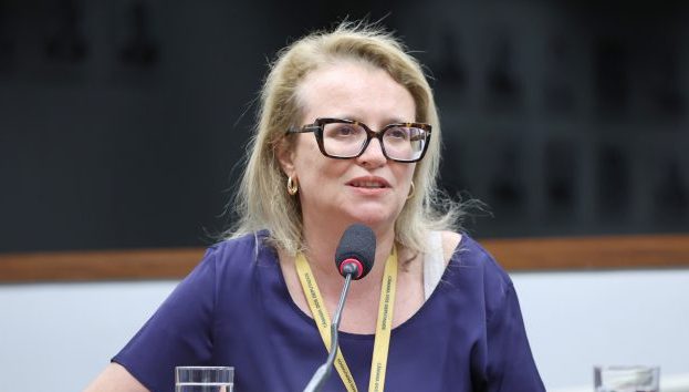 Audiência Pública - Participação social nas instituições do sistema de justiça, a partir da experiência das ouvidorias externas das Defensorias Públicas. Associação Nacional das Defensoras e Defensores Públicos Federais - ANADEF, Luciana Grando Bregolin Dytz