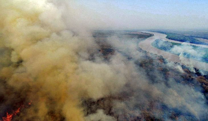 Vegetação pegando fogo em região do Pantanal no Mato Grosso do Sul