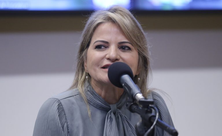 VI Encontro Nacional das Procuradoras da Mulher. Dep. Flávia Morais (PDT - GO)