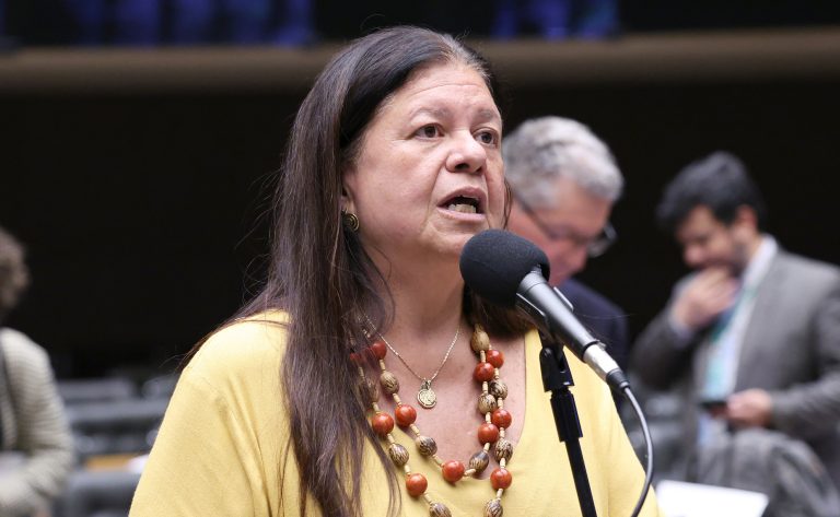 Deputada Laura Carneiro fala ao microfone.