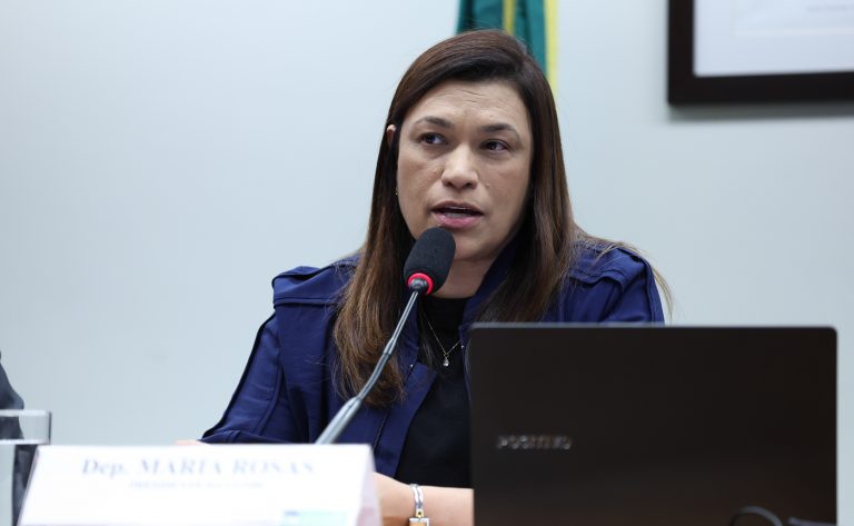 Deputada Maria Rosas fala ao microfone. Ela tem cabelos longos, lisos e escuro e veste um terno cinza e blusa vermelha