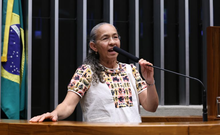 Deputada Heloísa Helena fala ao microfone