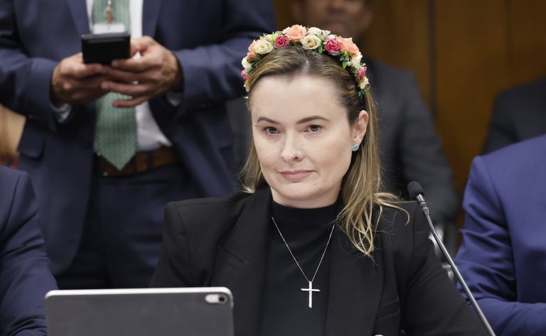 Reunião de Líderes. Dep. Julia Zanatta (PL - SC)